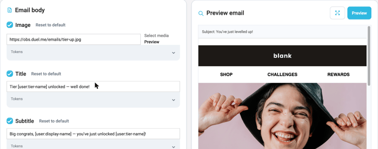 Email editor with the email body blocks on the left and a live preview on the right